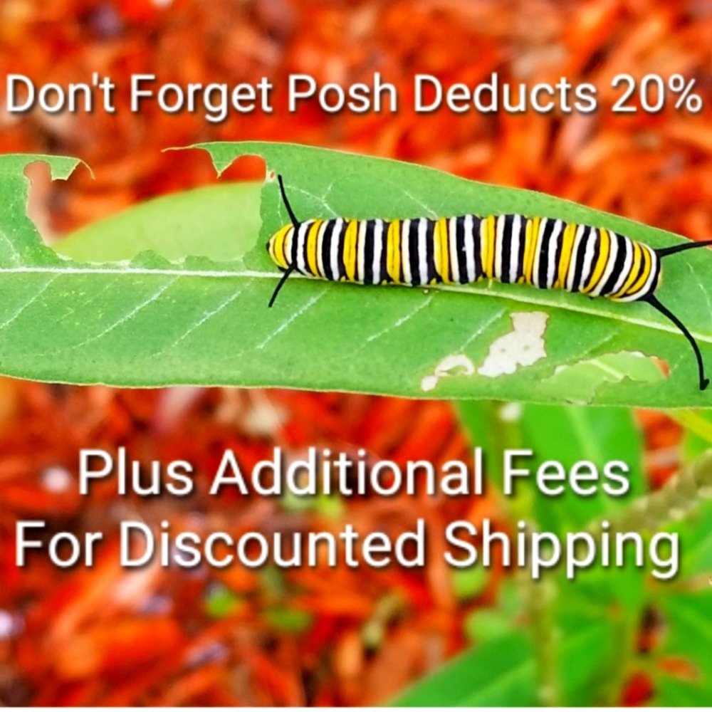 Less 20%, Less Ship Fees